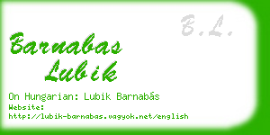 barnabas lubik business card